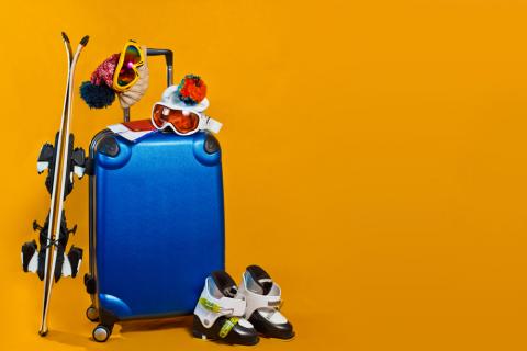 valise ski 