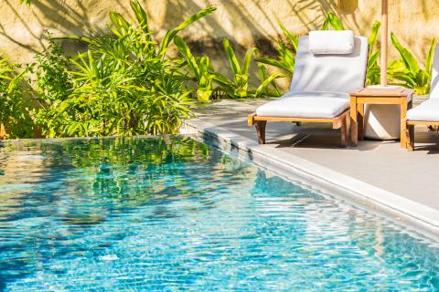 piscine jardin