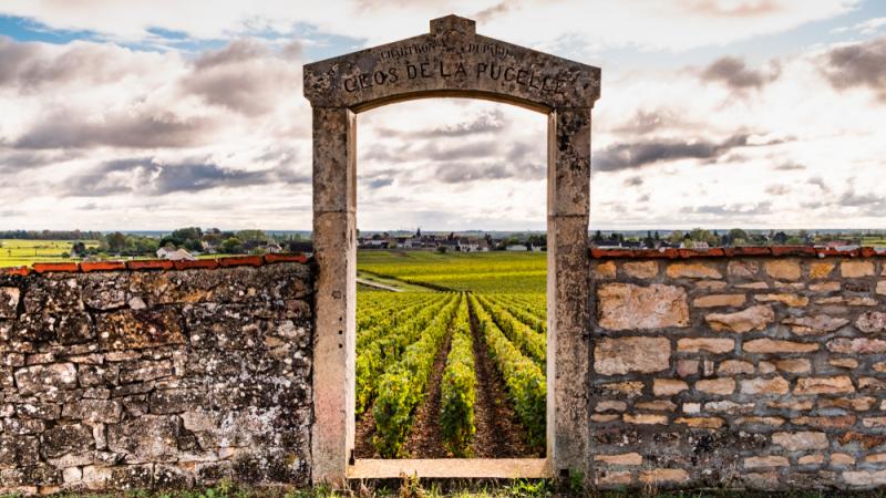 bourgogne vignes porte en pierre