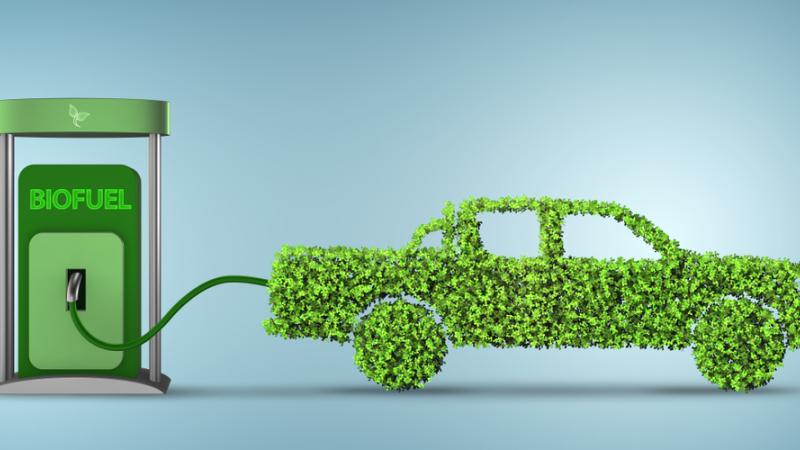 Bioéthanol voiture