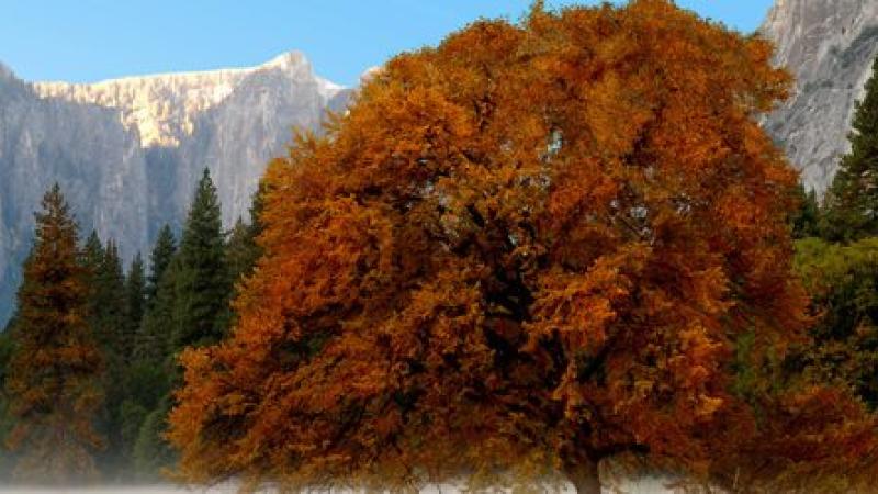 Vivez l'automne au cur du Parc national Yosemite
