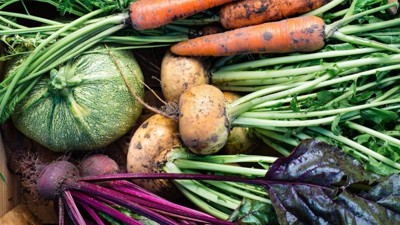 Carrefour vend désormais des légumes issus de semences paysannes.