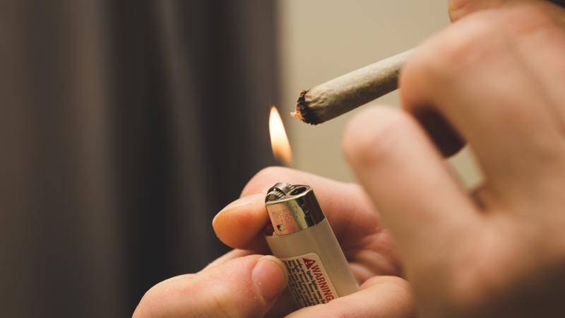 Le cannabis est très répandu chez les jeunes en France. 
