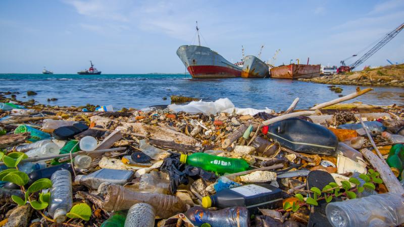 Le plastique est la première cause de pollution des océans. 