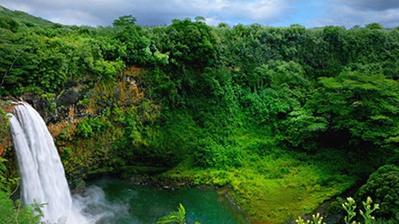 Dans l'archipel d'Hawaï, la beauté de Kauai vous attend