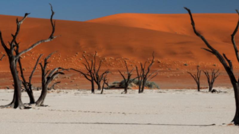 Sossusvlei, dans le désert Namibien