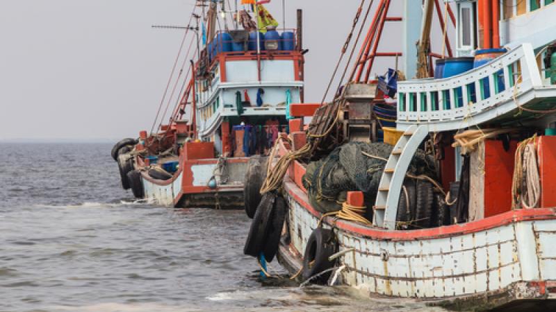 Global Fishing Watch permet de lutter contre la pêche illégale (c) Shutterstock