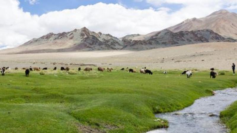 Voyage poétique en Mongolie