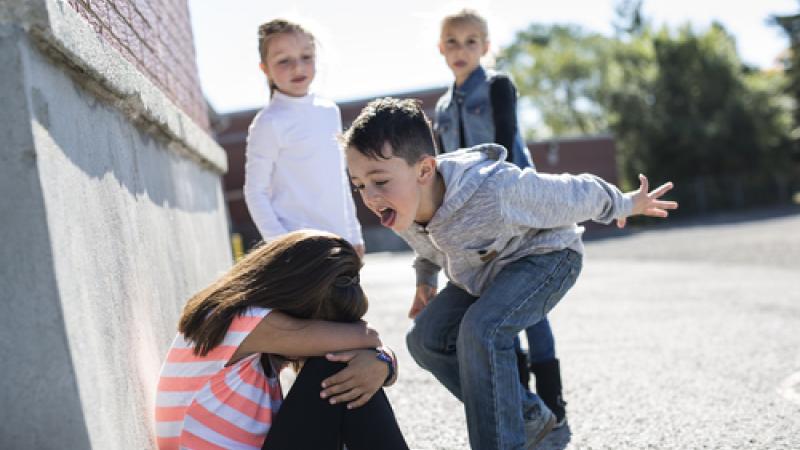 Un garçon crie sur une petite fille recroquevillée dans la cour de récréation. 