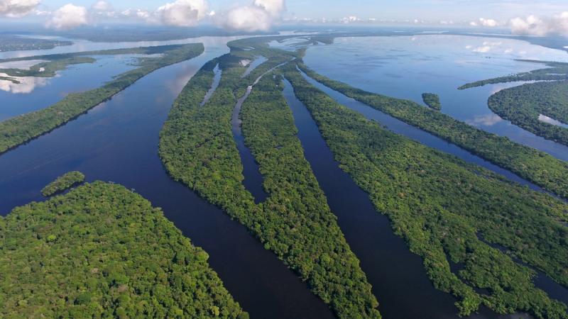 L'Amazonie cache encore bien des mystères