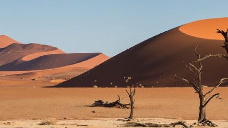 Voyage magique en Namibie