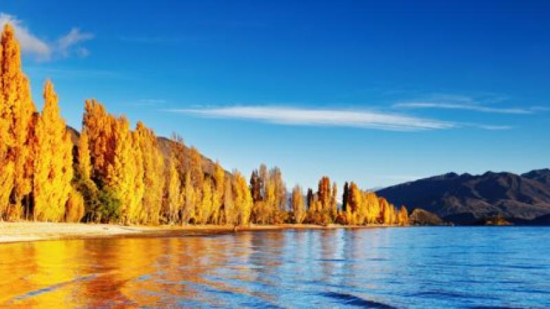 A la découverte du Lac Wanaka en Nouvelle Zélande
