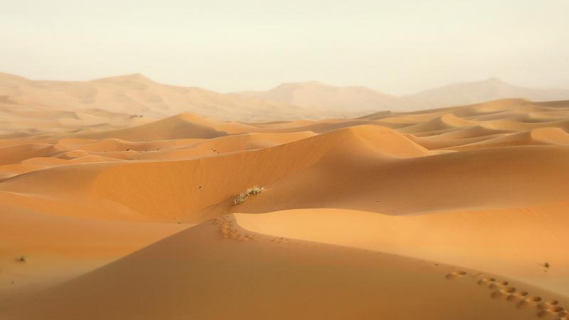 Le Sahara grignote peu à peu le Sahel qui le borde.