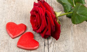 Pourquoi la rose rouge est-elle le symbole de l'amour ? - Magazine M6Météo